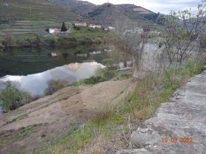 Quinta para Venda em Vila Marim Foto 7