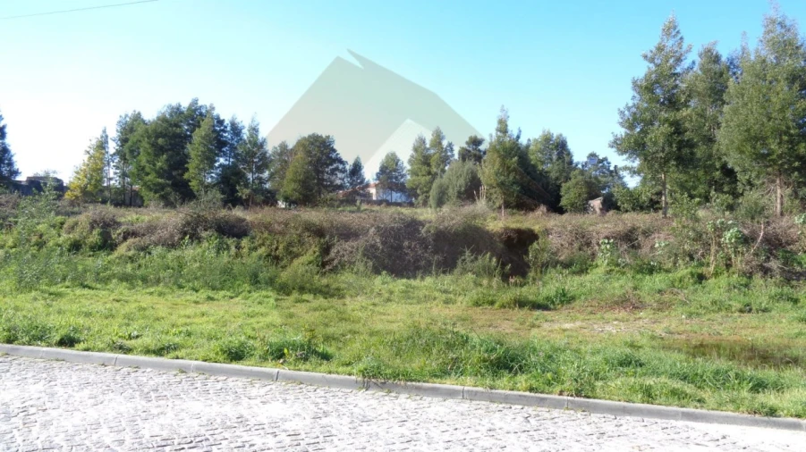 Terreno para Venda em Oliveira (São Mateus) Foto 1
