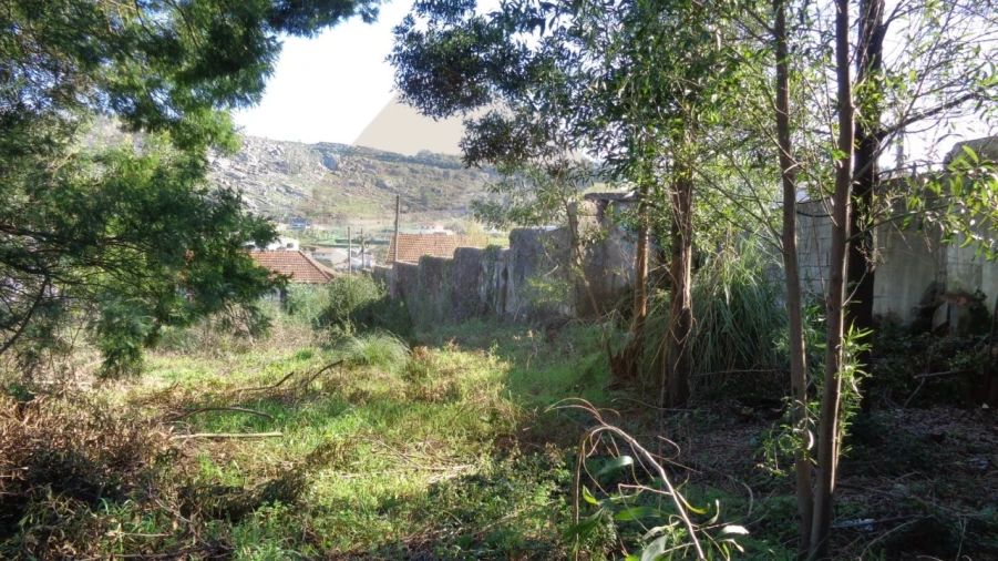 Terreno para Venda em Oliveira (São Mateus) Foto 5