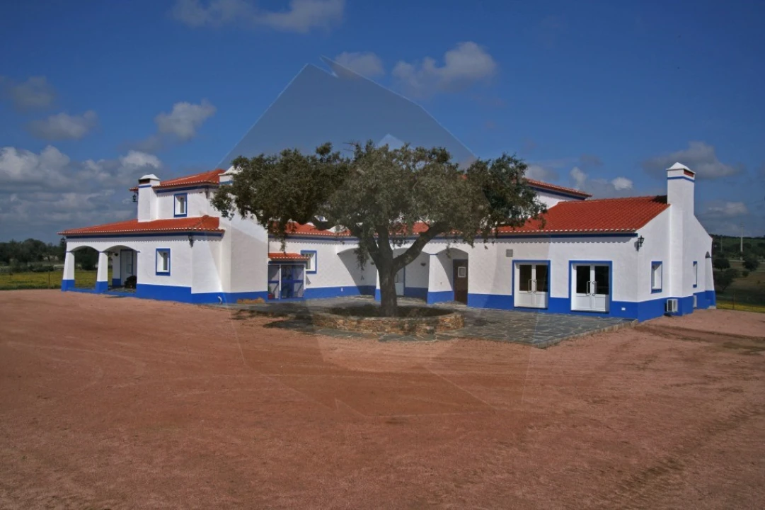 Quinta T8 para Venda em Terena (São Pedro) Foto 3