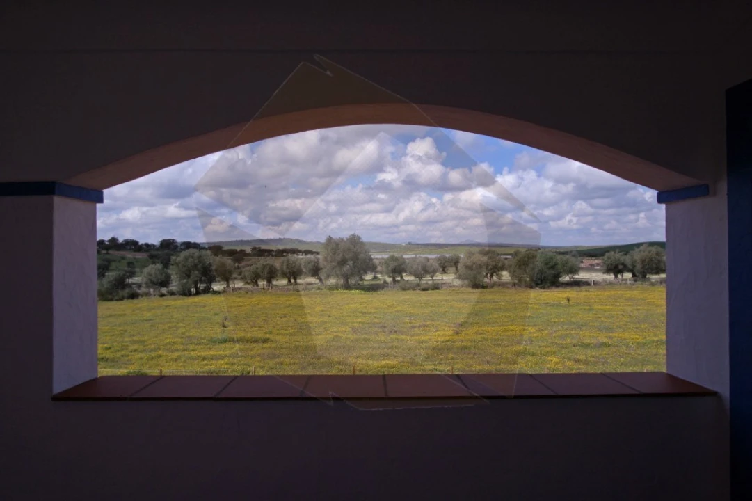 Quinta T8 para Venda em Terena (São Pedro) Foto 5