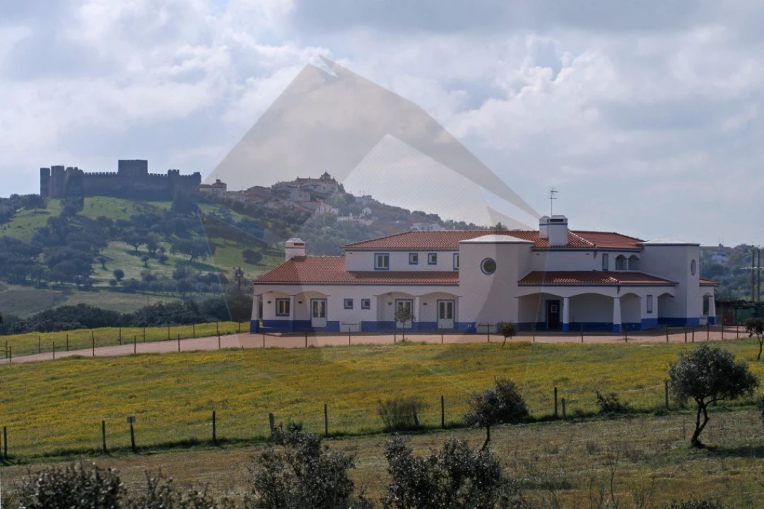 Quinta T8 para Venda em Terena (São Pedro) Foto 8