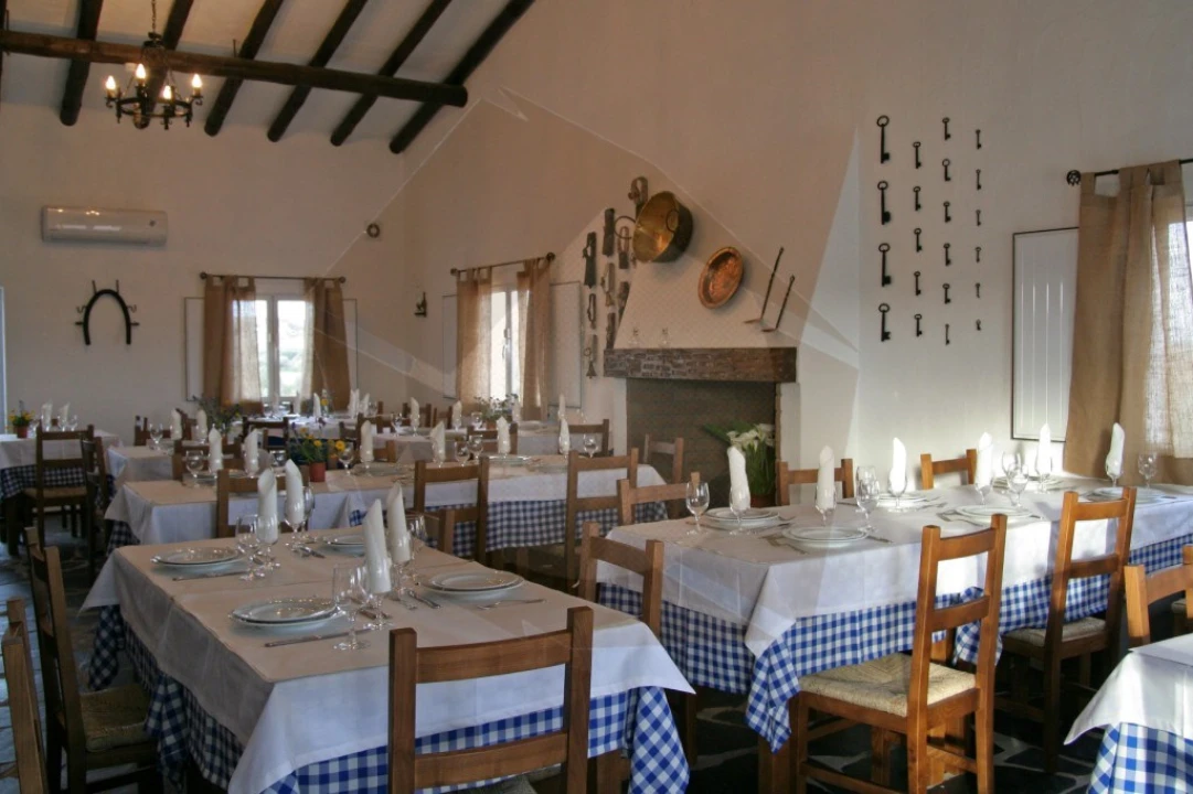 Quinta T8 para Venda em Terena (São Pedro) Foto 20