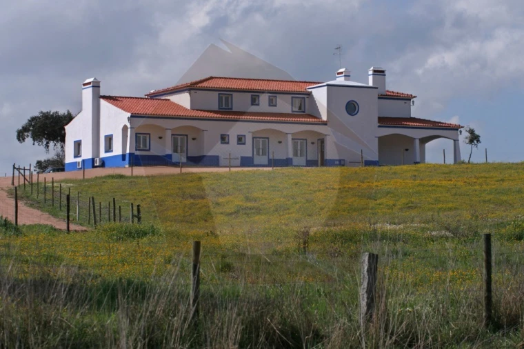 Quinta T8 para Venda em Terena (São Pedro) Foto 2