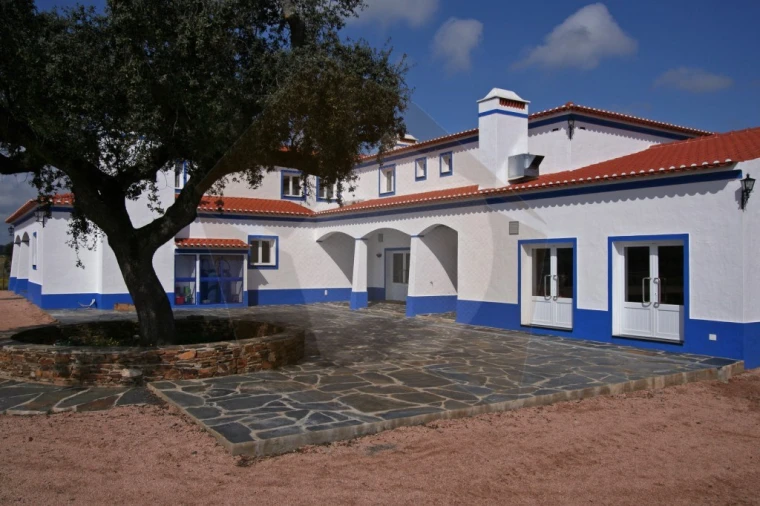 Quinta T8 para Venda em Terena (São Pedro) Foto 4