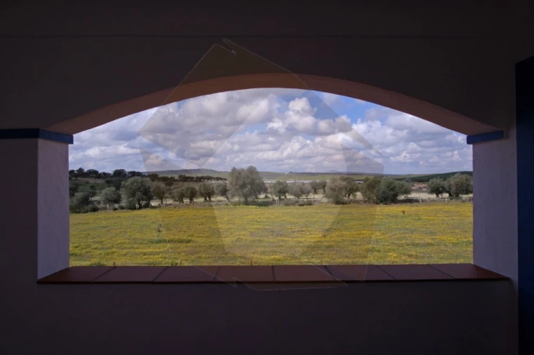 Quinta T8 para Venda em Terena (São Pedro) Foto 5