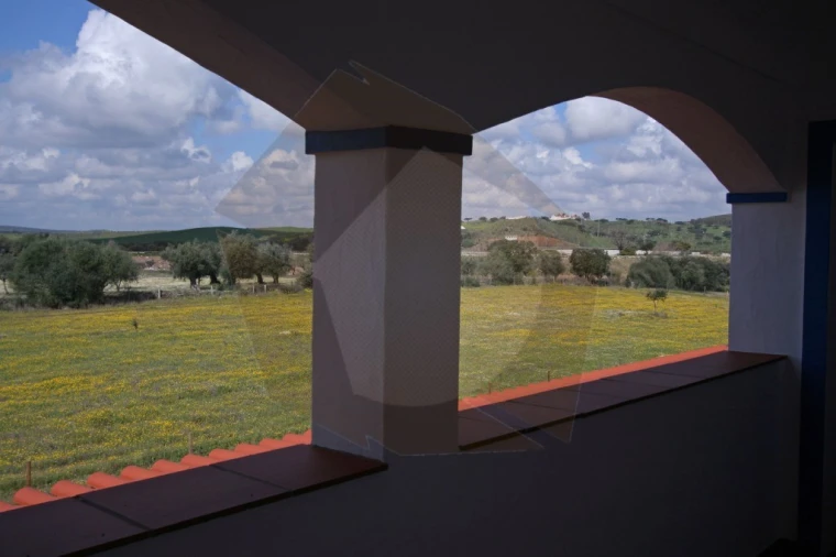 Quinta T8 para Venda em Terena (São Pedro) Foto 6