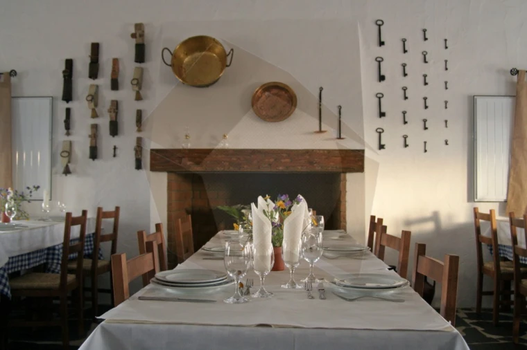 Quinta T8 para Venda em Terena (São Pedro) Foto 19