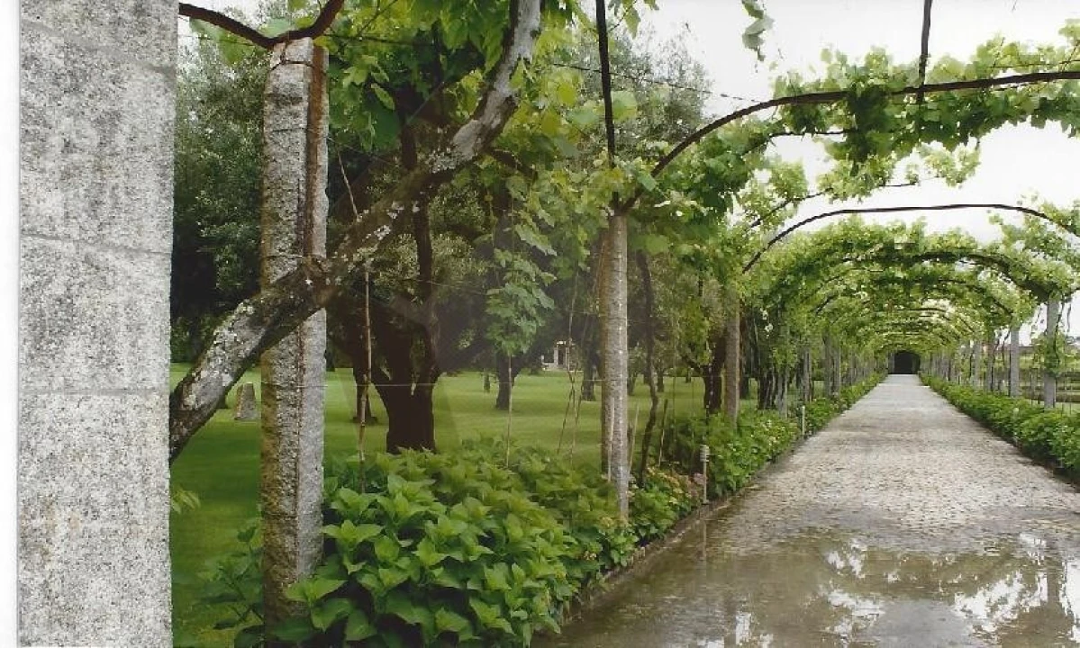 Quinta para Venda em Cardielos e Serreleis Foto 11