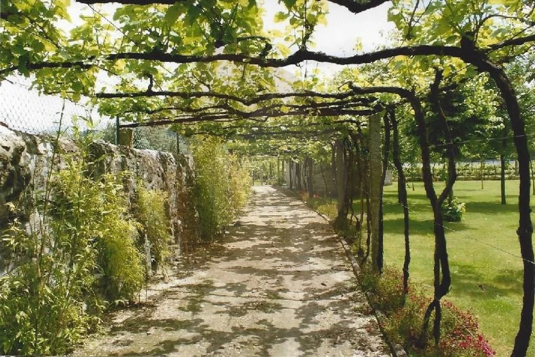 Quinta para Venda em Cardielos e Serreleis Foto 20