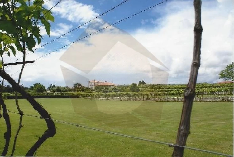 Quinta para Venda em Cardielos e Serreleis Foto 10