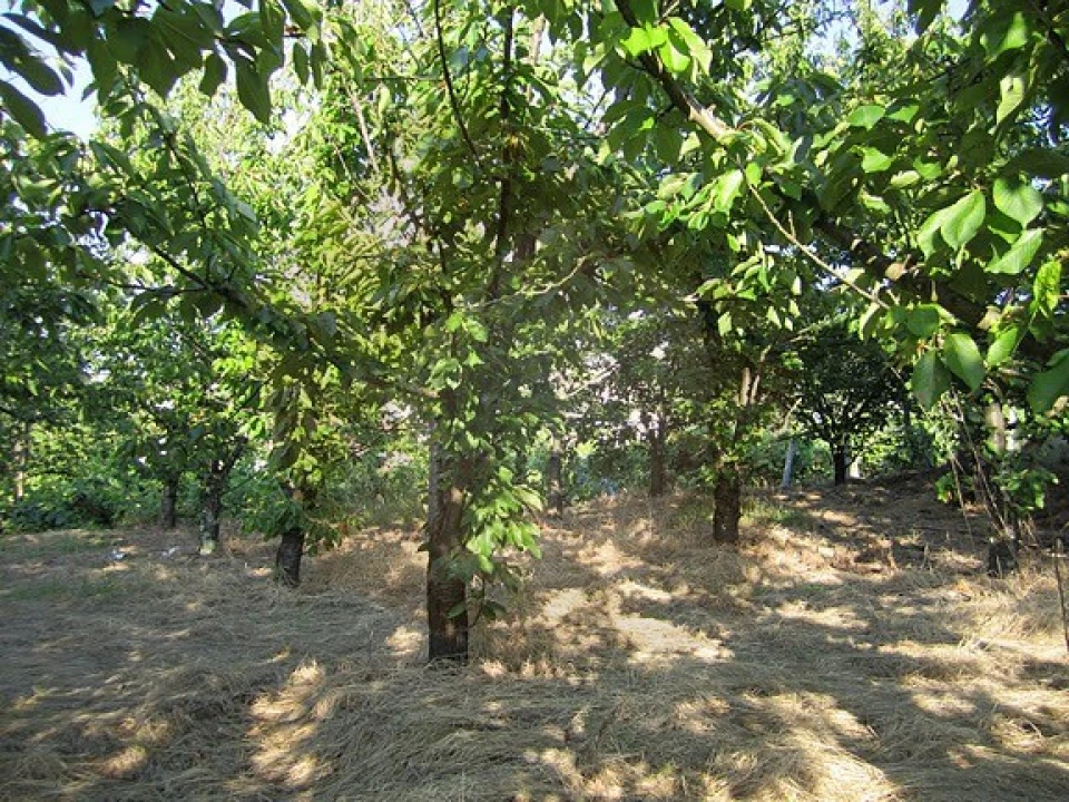 Terreno para Venda em Resende Foto 8