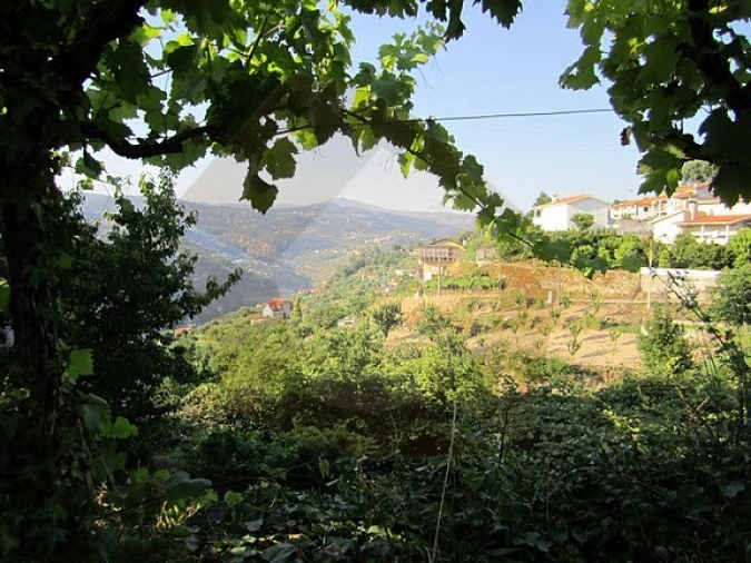 Terreno para Venda em Resende Foto 4