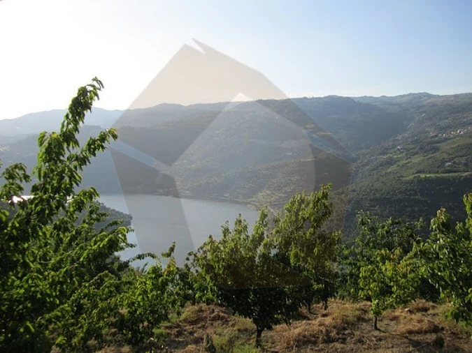 Terreno para Venda em Resende Foto 12