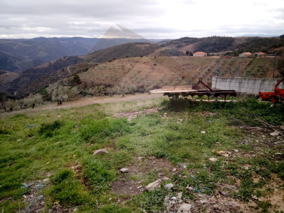 Terreno Agricola ou Rústico para Venda em Castro Vicente Foto 9