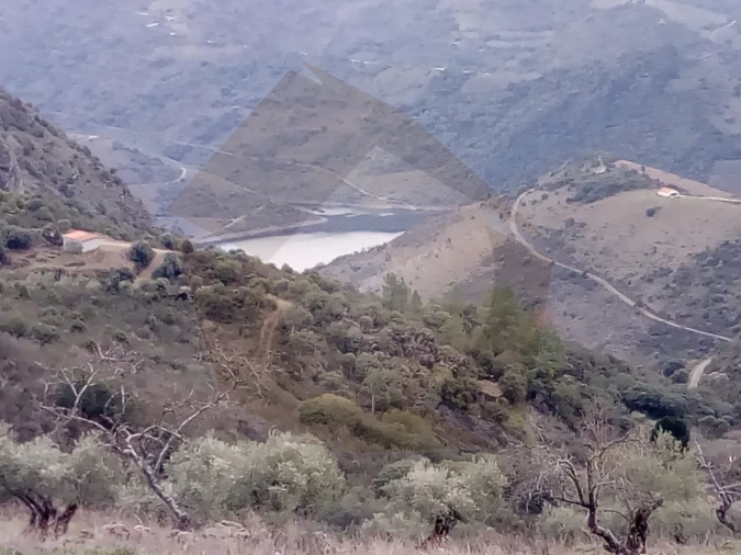 Terreno Agricola ou Rústico para Venda em Castro Vicente Foto 8