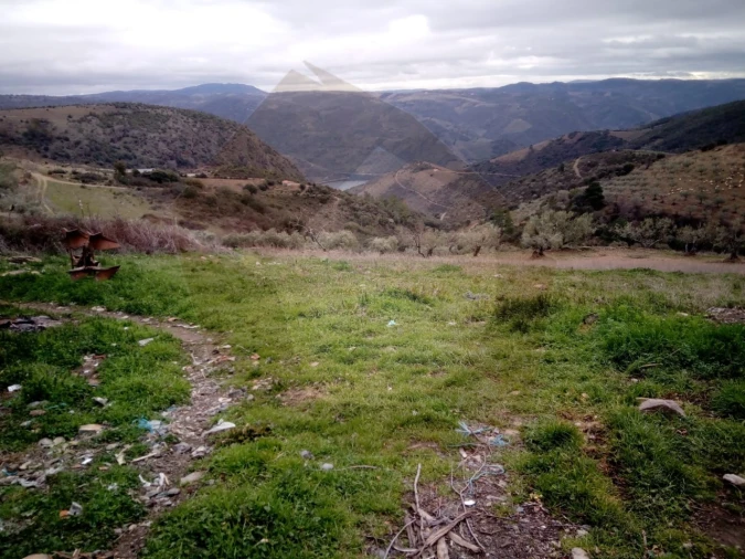 Terreno Agricola ou Rústico para Venda em Castro Vicente Foto 10