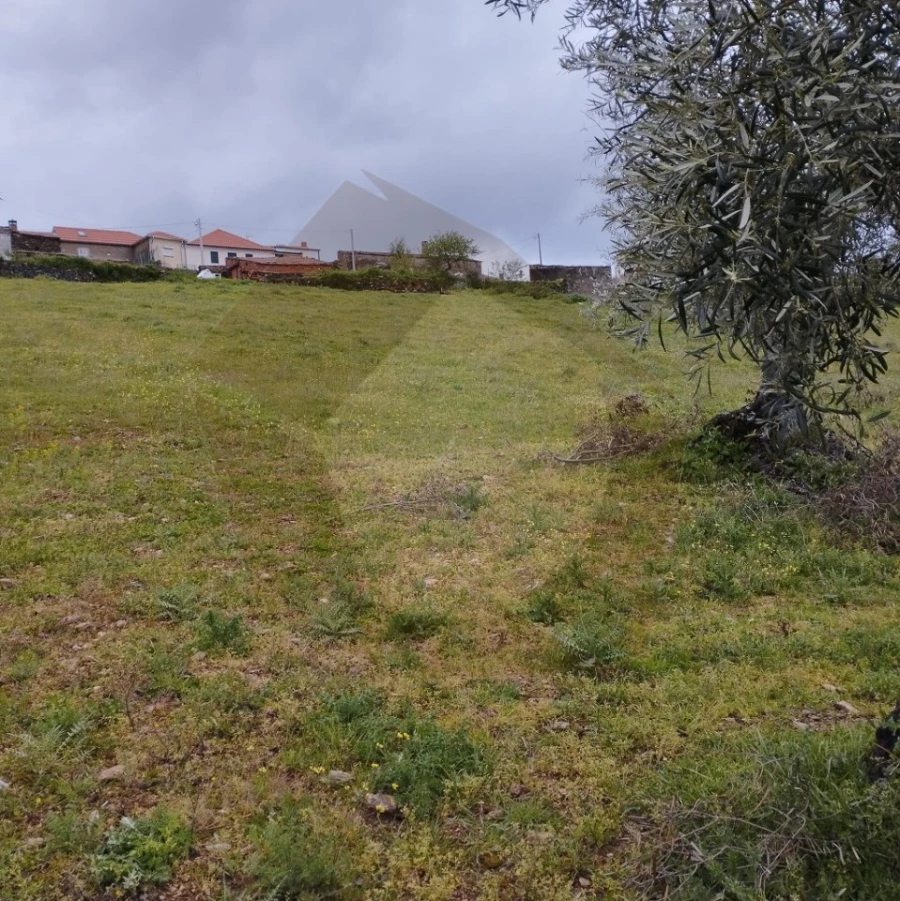 Terreno Agricola ou Rústico para Venda em Castro Vicente Foto 2