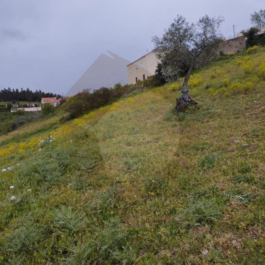 Terreno Agricola ou Rústico para Venda em Castro Vicente Foto 4