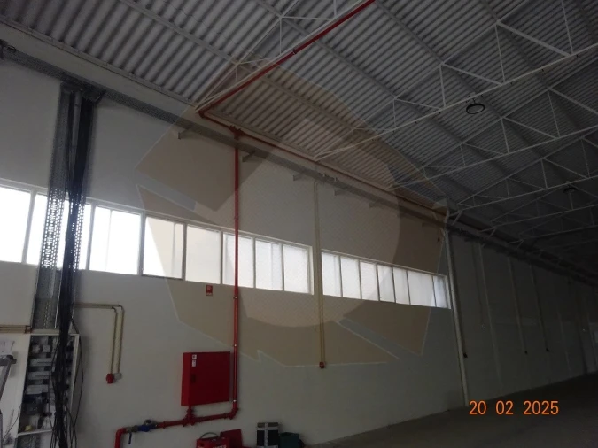 Armazém para Arrendamento em Nogueira e Silva Escura Foto 6