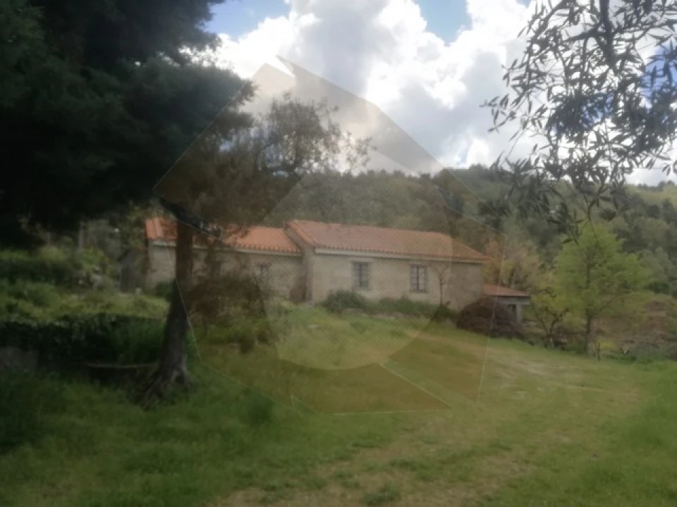 Quinta para Venda em São Pedro e Santa Maria e Vila Boa do Mondego Foto 2