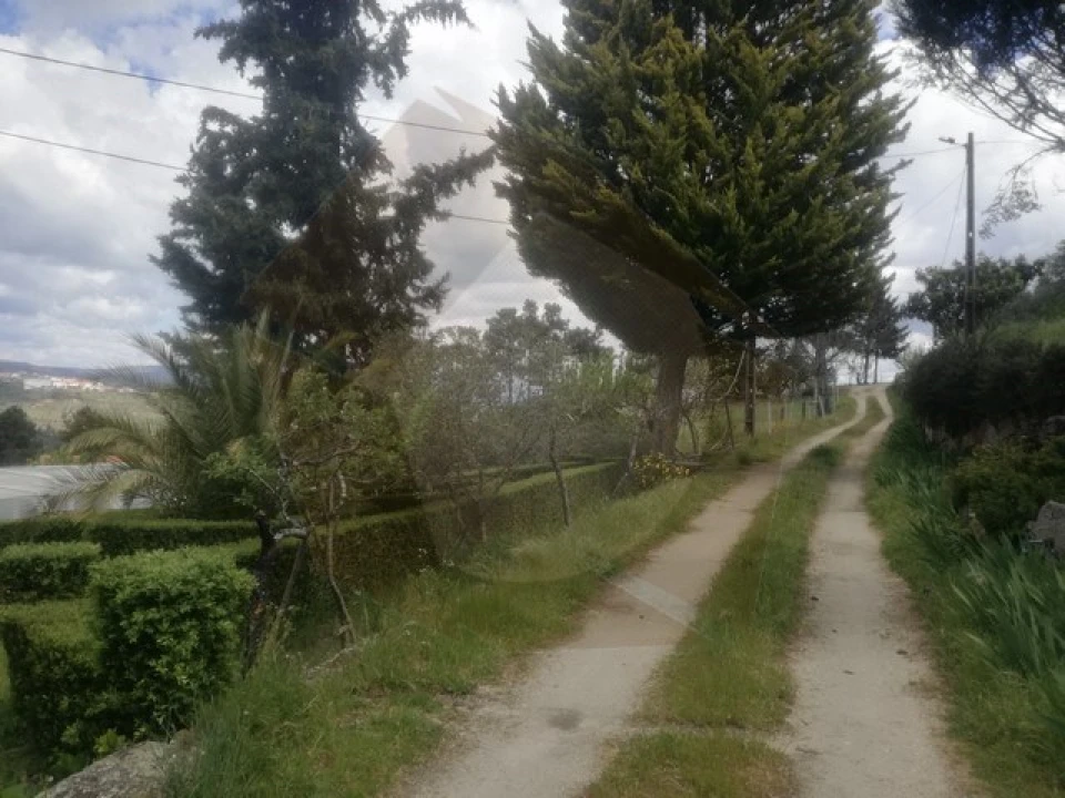 Quinta para Venda em São Pedro e Santa Maria e Vila Boa do Mondego Foto 1