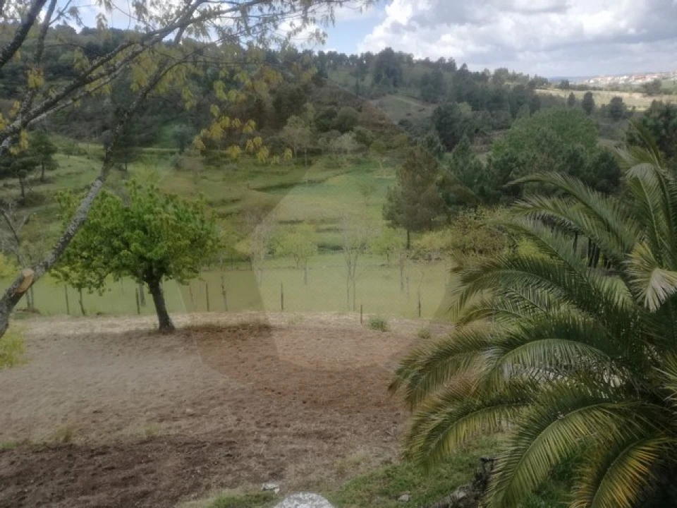 Quinta para Venda em São Pedro e Santa Maria e Vila Boa do Mondego Foto 12