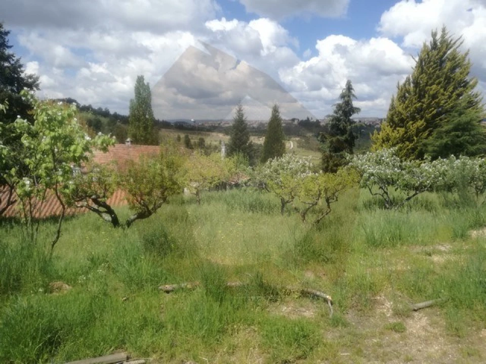 Quinta para Venda em São Pedro e Santa Maria e Vila Boa do Mondego Foto 4