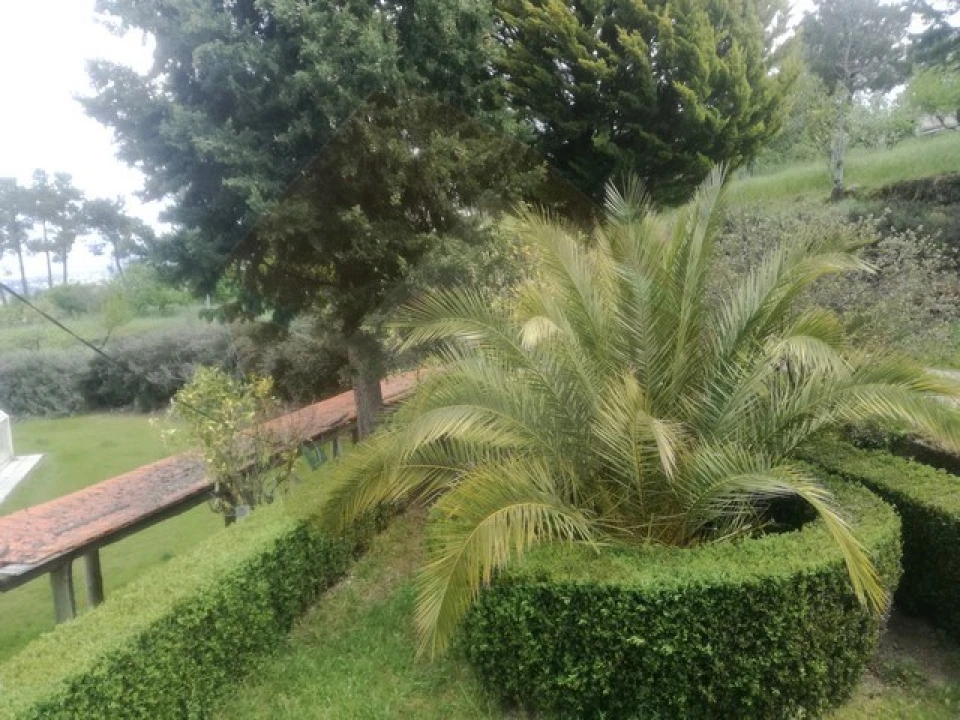 Quinta para Venda em São Pedro e Santa Maria e Vila Boa do Mondego Foto 11