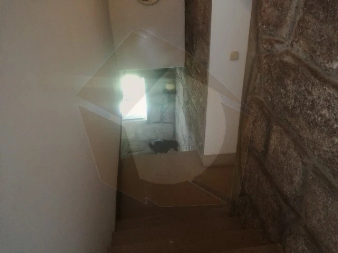 Quinta para Venda em São Pedro e Santa Maria e Vila Boa do Mondego Foto 20