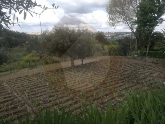 Quinta para Venda em São Pedro e Santa Maria e Vila Boa do Mondego Foto 15