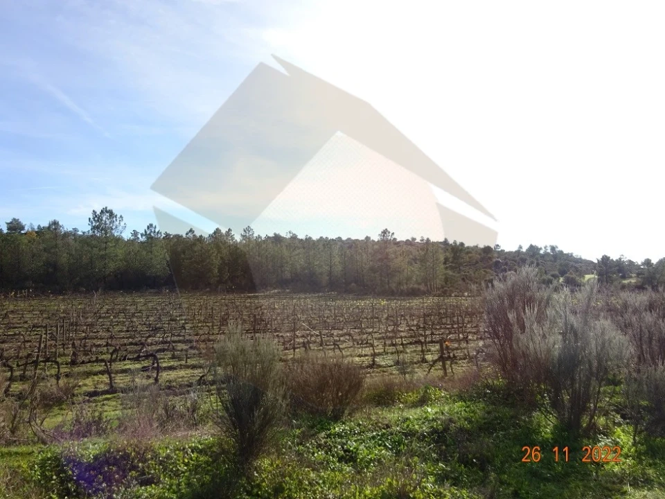 Quinta para Venda em Rabaçal Foto 6