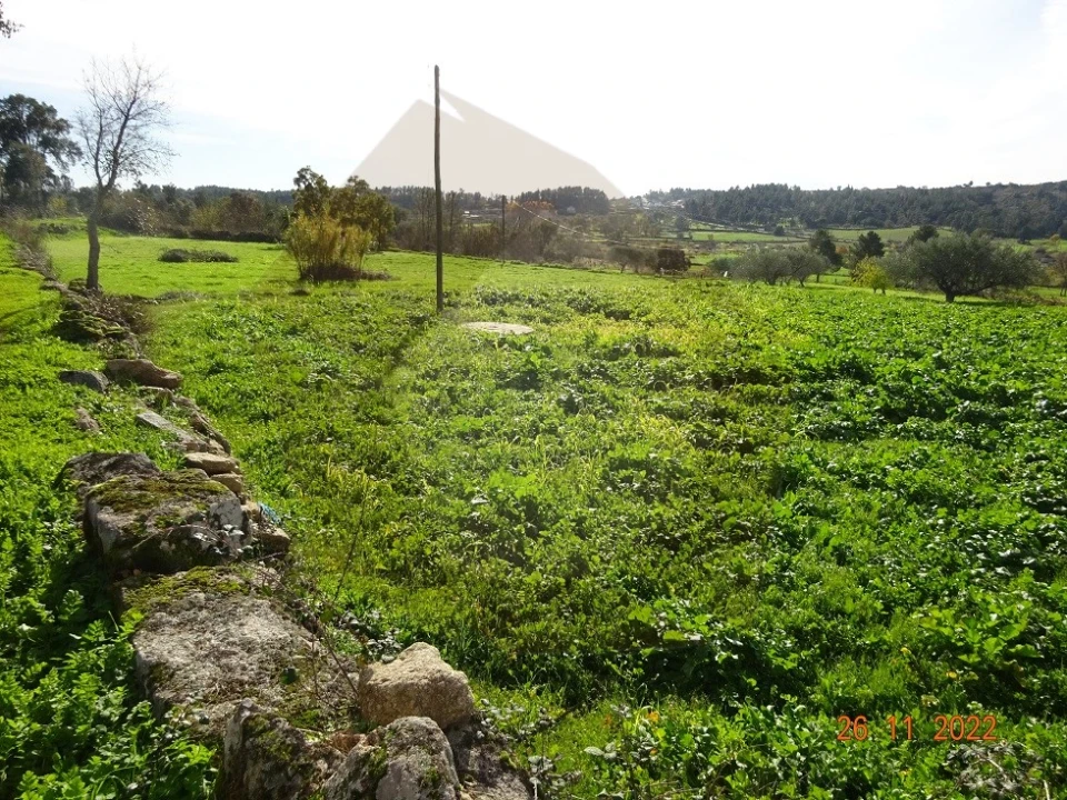 Quinta para Venda em Rabaçal Foto 17