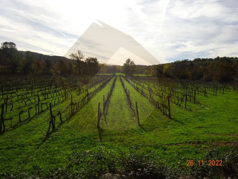 Quinta para Venda em Rabaçal Foto 1