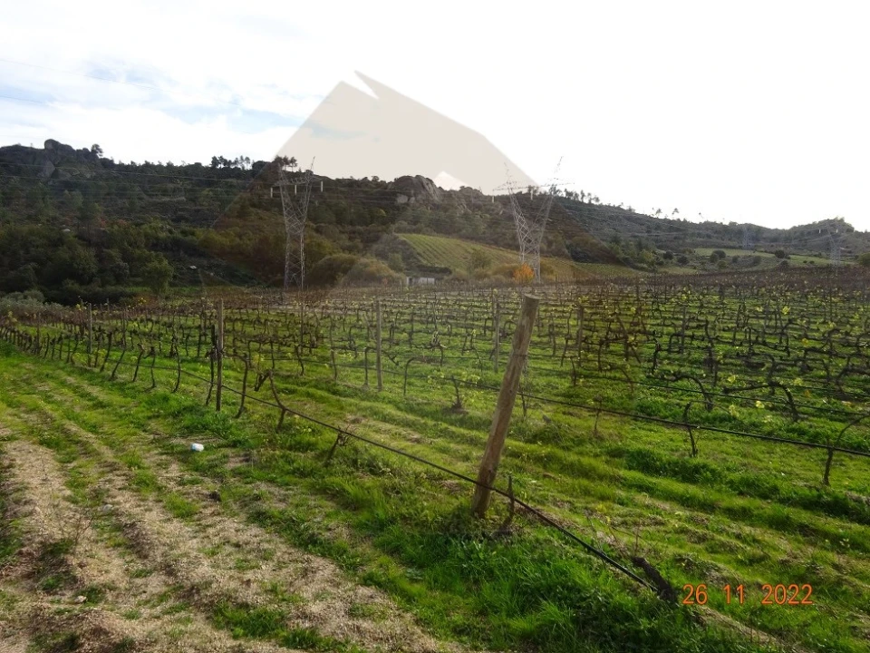 Quinta para Venda em Rabaçal Foto 19