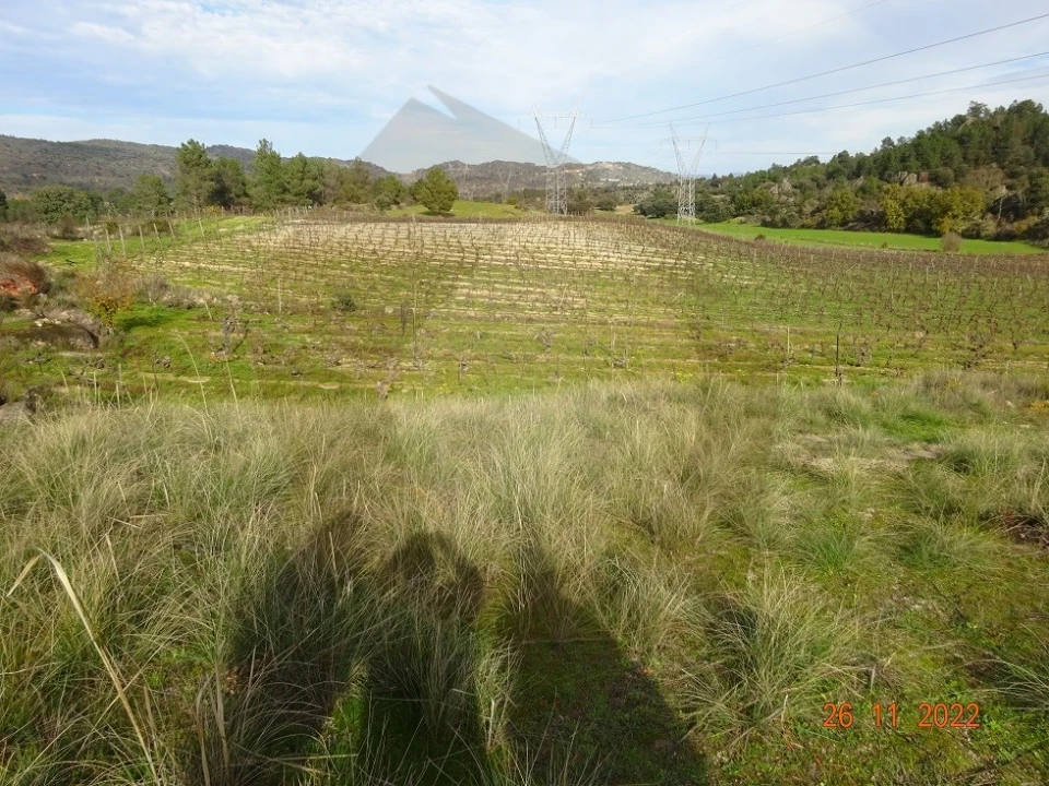 Quinta para Venda em Rabaçal Foto 22