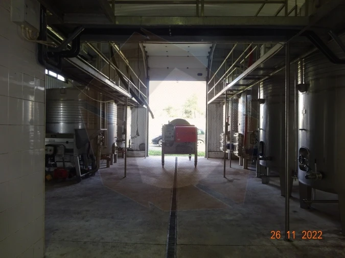 Quinta para Venda em Rabaçal Foto 29