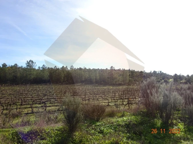 Quinta para Venda em Rabaçal Foto 6