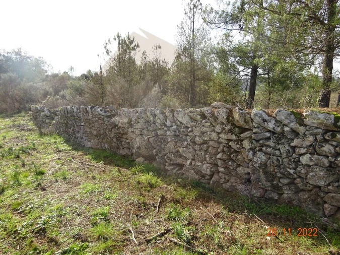 Quinta para Venda em Rabaçal Foto 20