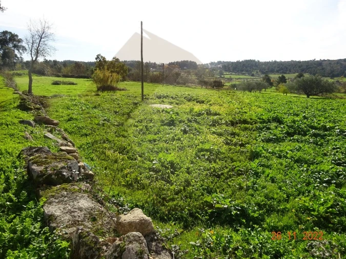 Quinta para Venda em Rabaçal Foto 17