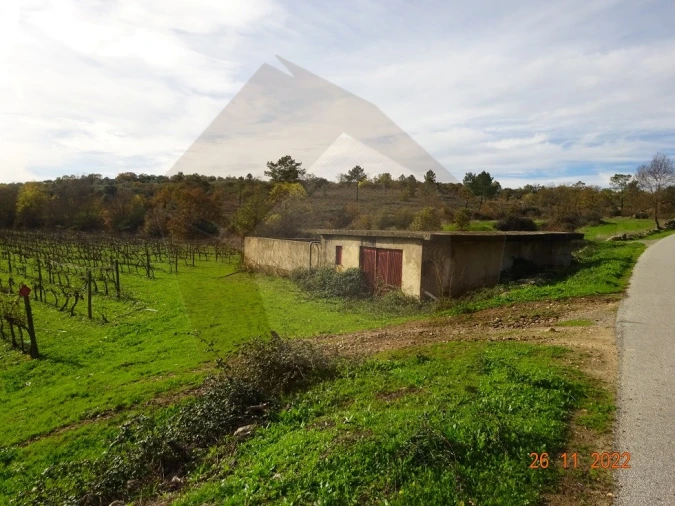 Quinta para Venda em Rabaçal Foto 15