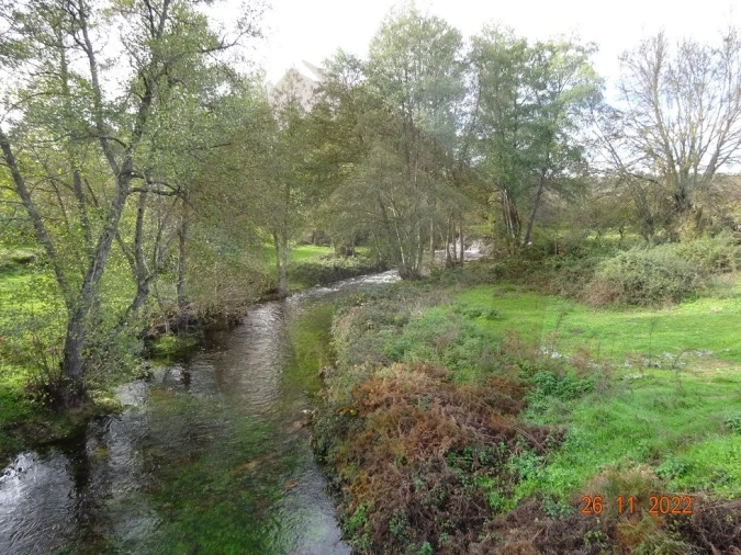 Quinta para Venda em Rabaçal Foto 13