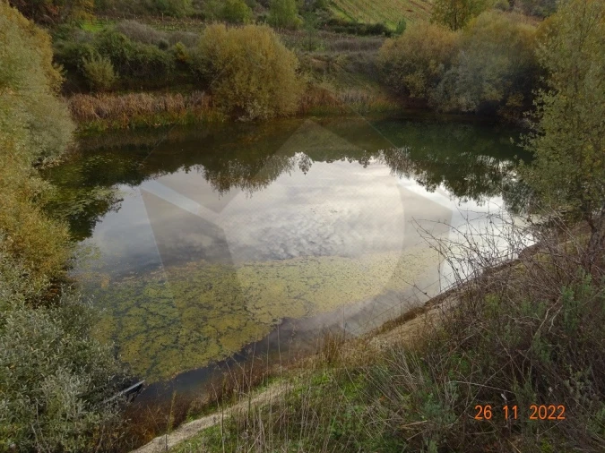 Quinta para Venda em Rabaçal Foto 2