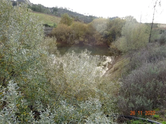 Quinta para Venda em Rabaçal Foto 21