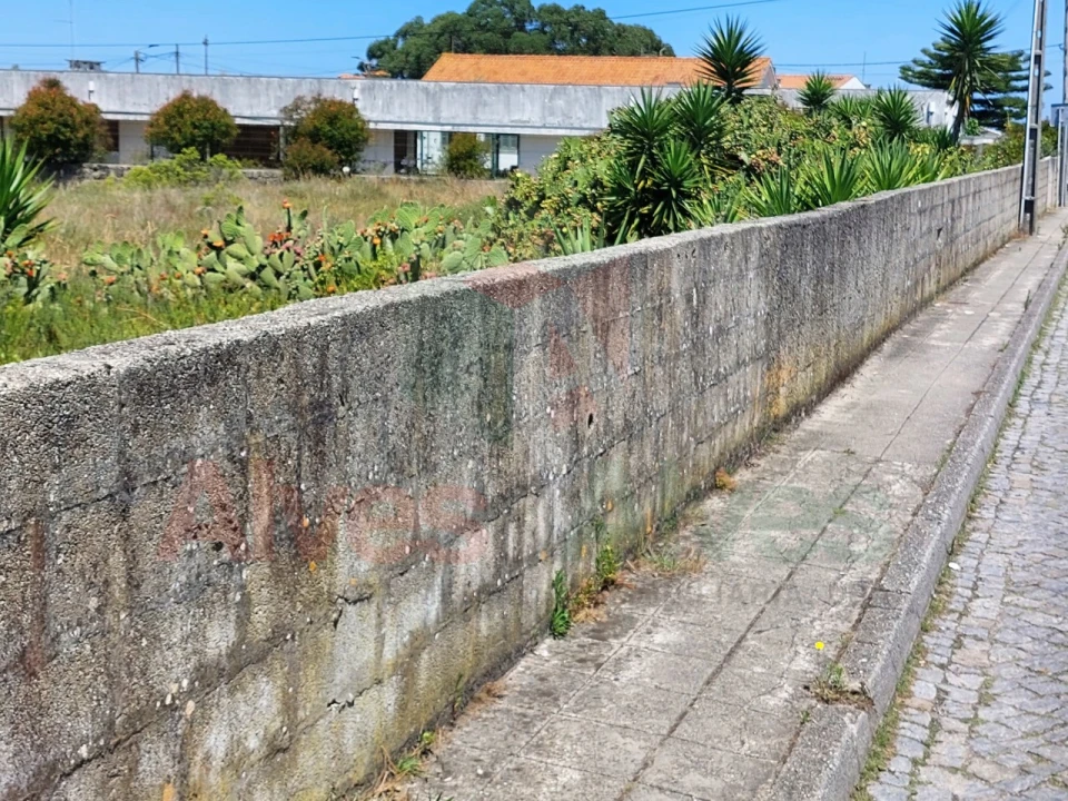 Terreno para Venda em Mindelo Foto 4