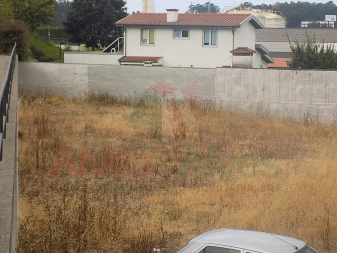Terreno para Venda em Folgosa Foto 6