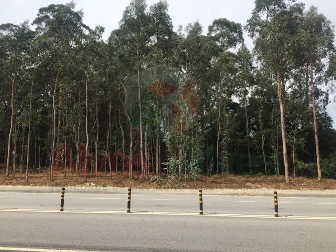 Terreno para Arrendamento em Castêlo da Maia