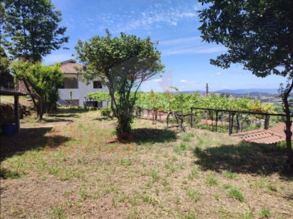 Quinta T5 para Venda em Roriz Foto 4