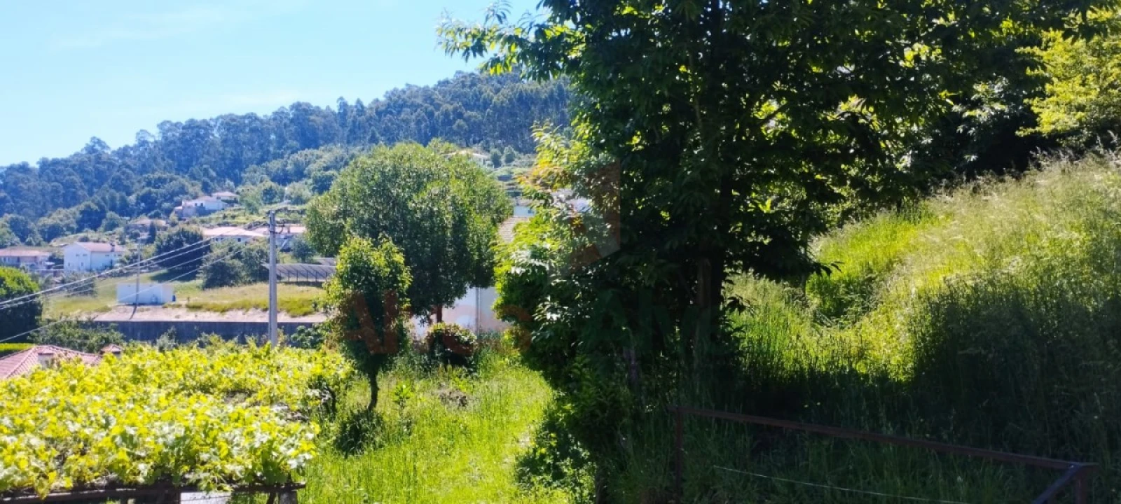 Quinta T5 para Venda em Roriz Foto 23