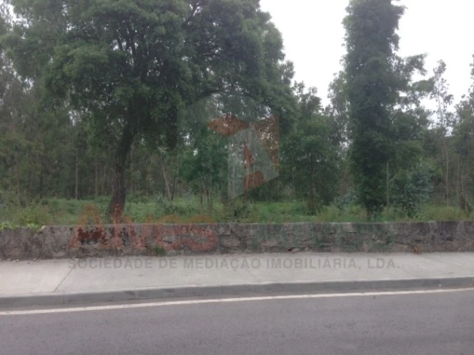 Terreno para Venda em Castêlo da Maia Foto 5